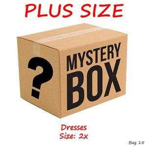 Plus Size Dresses - Reseller / Semi-Mystery Box